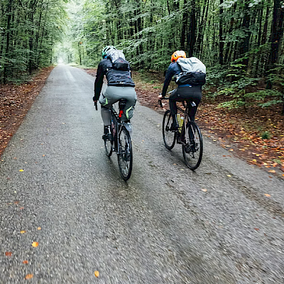 DAs Bild zeigt zwei Radfahrende, die jeweils einen Rucksack tragen und die mit dem Rad auf einem Weg fahren. Dieser Weg befindet sich in einem Waldgebiet. Neben den Radfahrenden sind Bäume zu sehen.